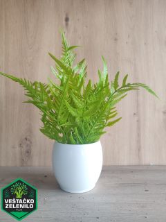 Saksijske biljke InShot_20230324_150958791_resize.jpg