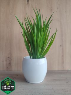 Saksijske biljke InShot_20230324_151135598_resize.jpg