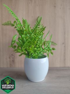 Saksijske biljke InShot_20230324_151334812_resize.jpg