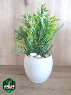 Saksijske biljke InShot_20230324_151533232_resize.jpg