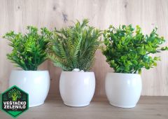 Saksijske biljke InShot_20230324_151650762_resize.jpg