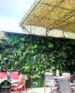 Zeleni zidovi InShot_20230324_002451349_resize.jpg